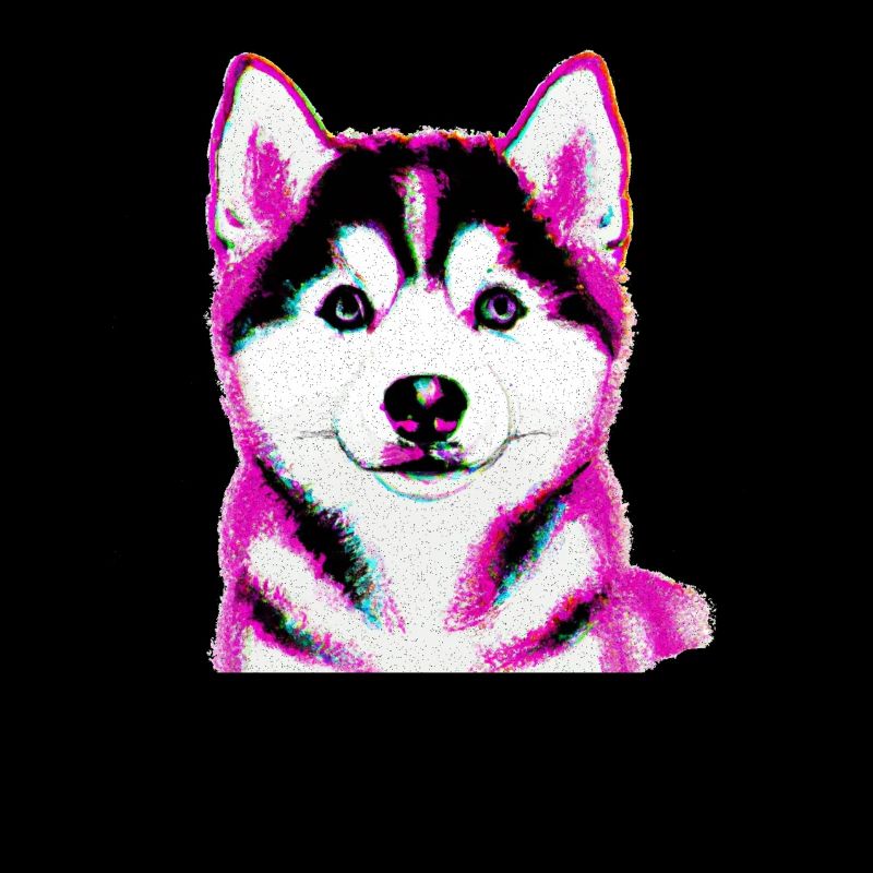 Siberian Husky im Pop Art Stil