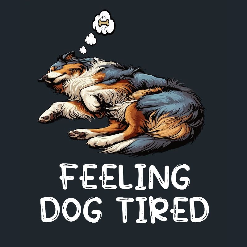 Feeling Dog Tired Australian Shepherd Aussiehalter