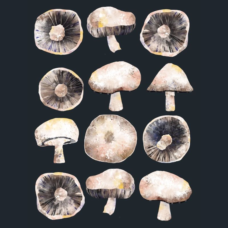 Champignons