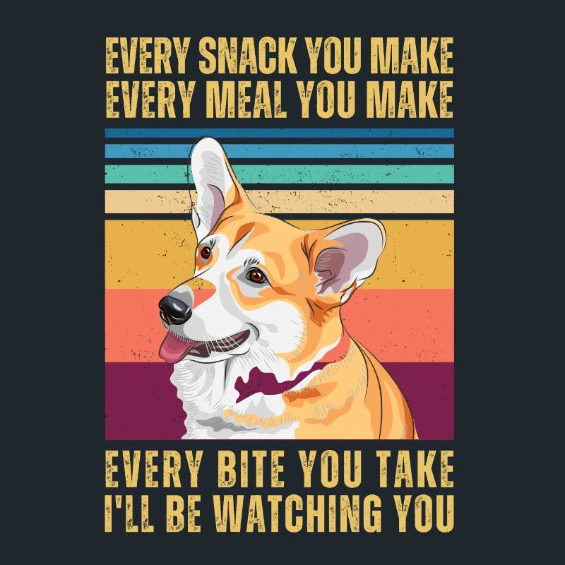 REGARDER CORGI