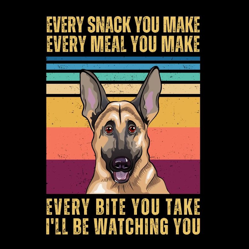 Deutscher Schäferhund beobachten