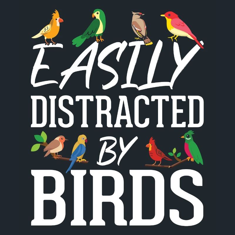 Facilement distrait par les oiseaux
