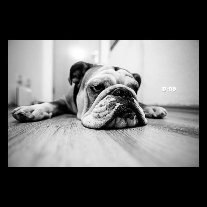 1200 Bouledogue