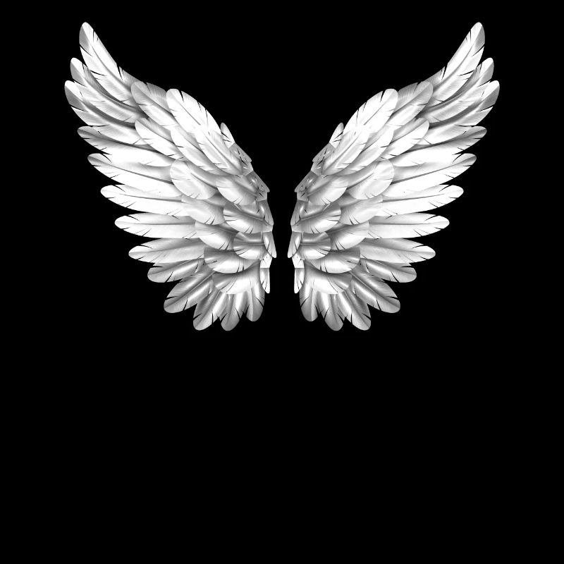 Ailes angéliques ailes anges aile blanc blanc