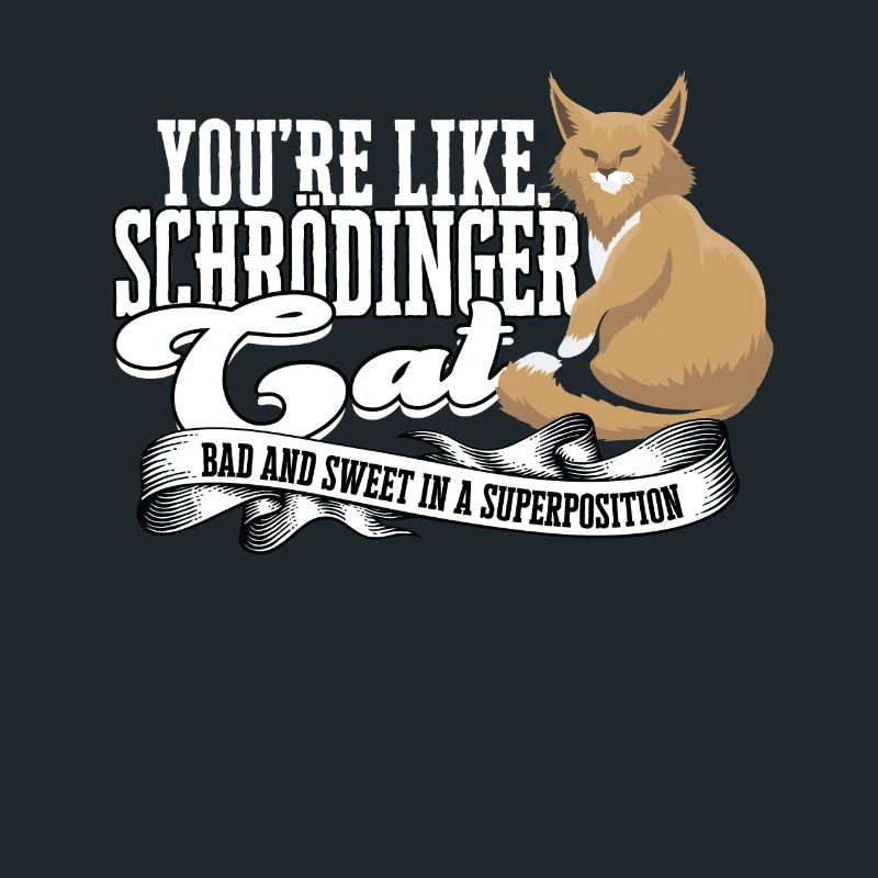 Schrodinger's cat superposition Quantum Physics