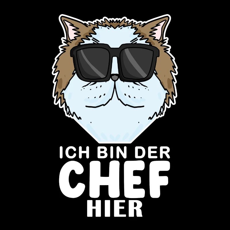 coole Katze - Perserkatze Katze - Chef Spruch