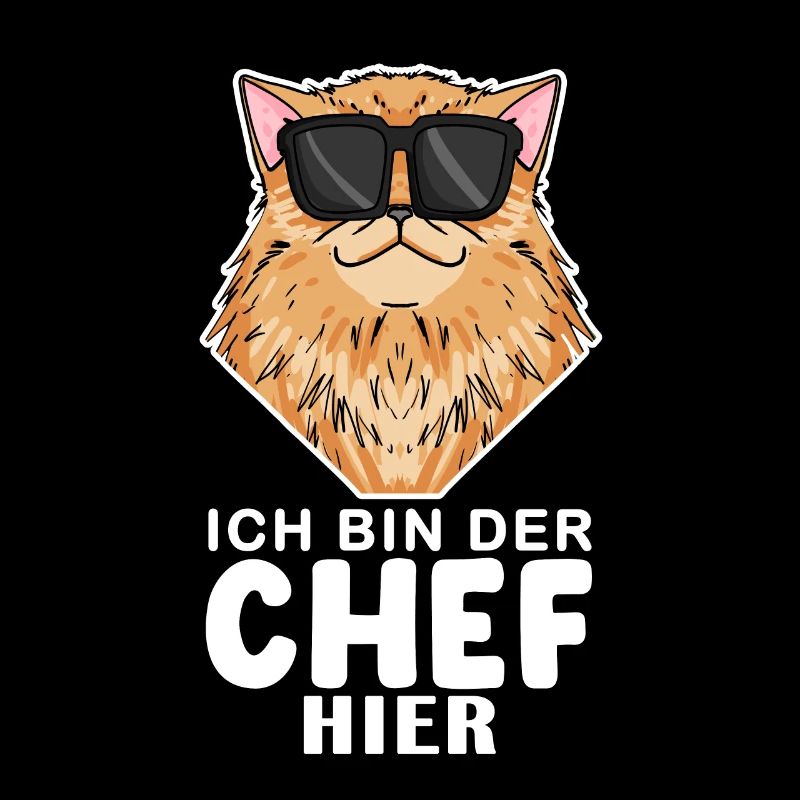 coole Katze - Perserkatze Katze - Chef Spruch