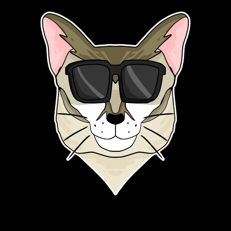 Singapura Katze mit Brille - coole Katze