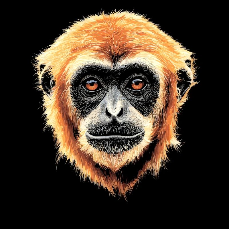 Singe Gibbon Main Blanche Gibbon Singe Mignon Lar Gibbons