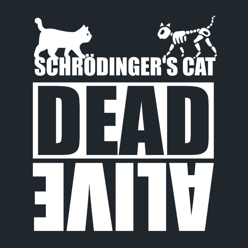 Le chat de Schrödinger