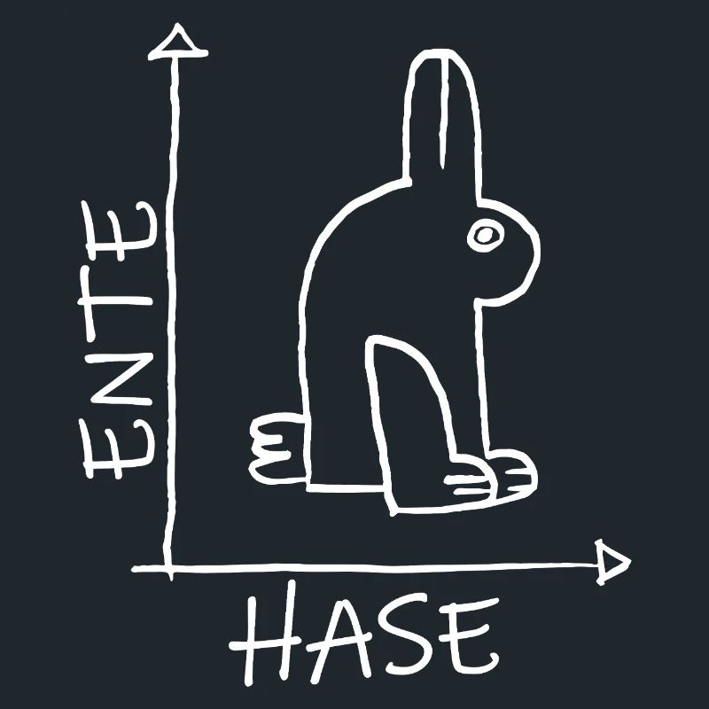 Bunnies Ducks Head Illusion - Optical Illusion