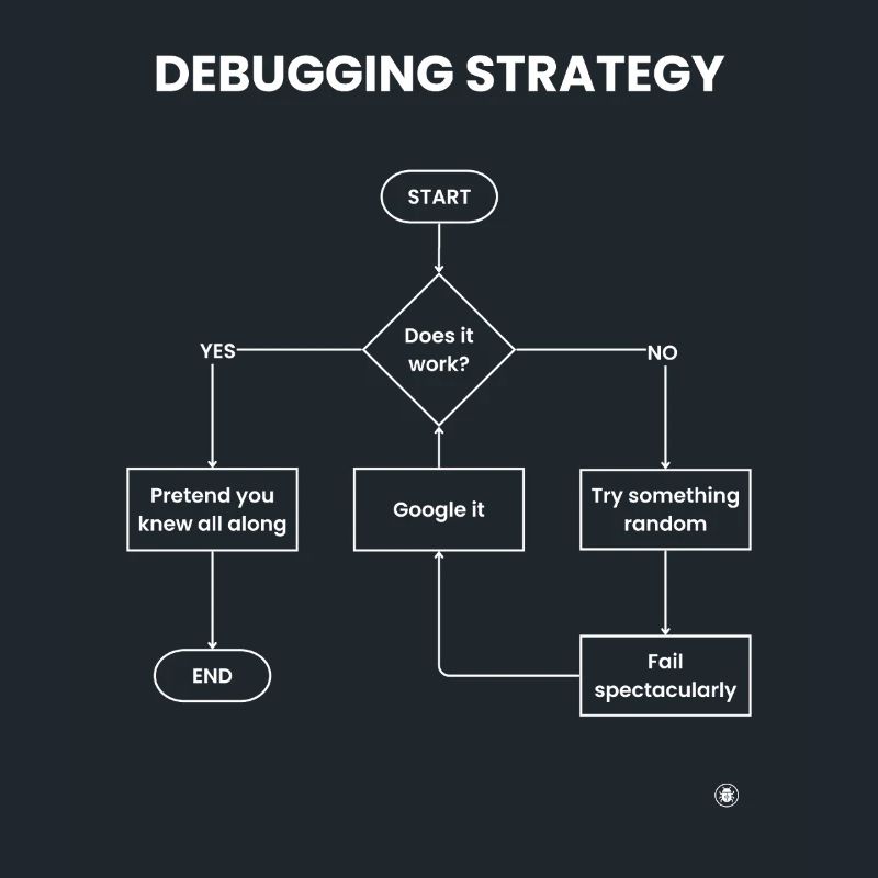 Debugging Strategy Flowchart - Does It Work Gift