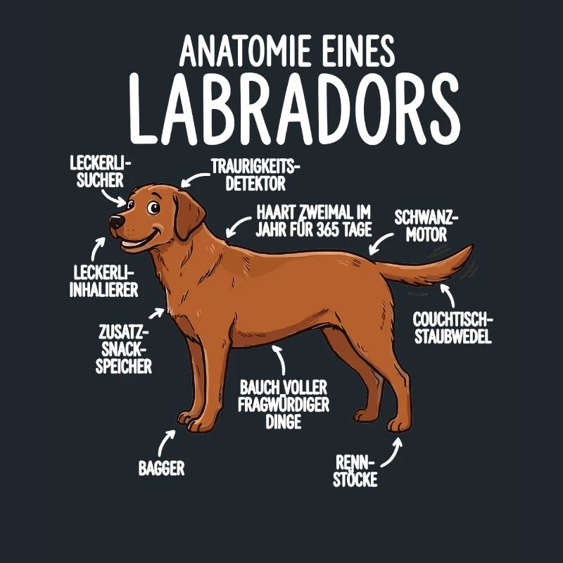 Anatomie eines Labradors – Lustiges Foxred Design