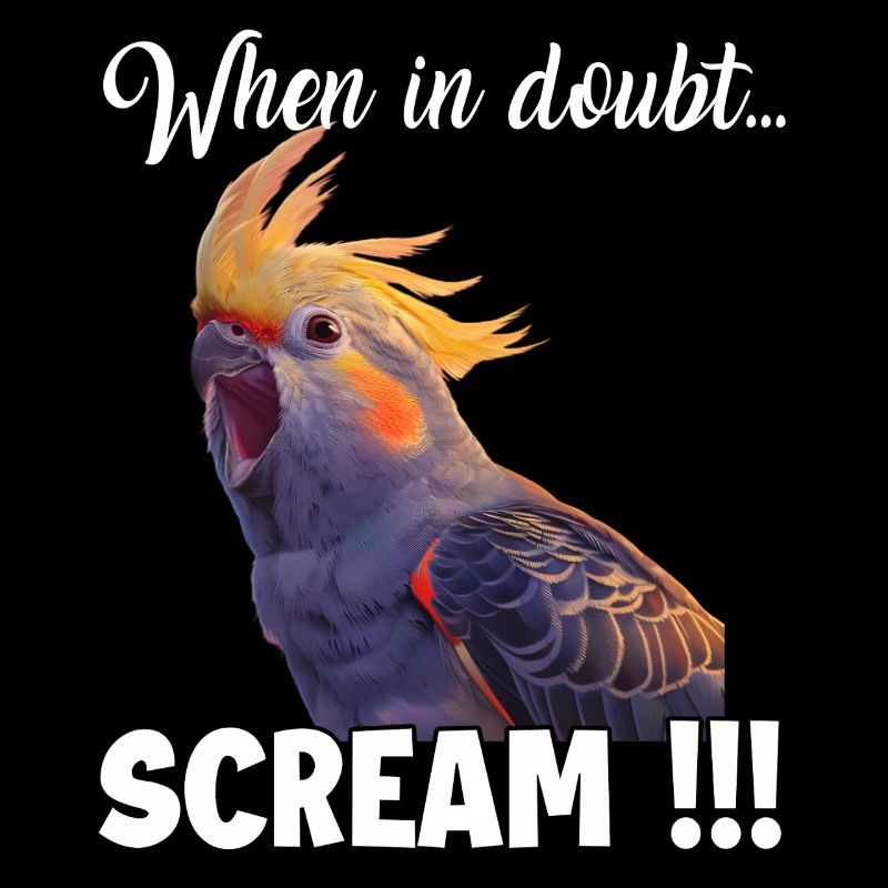 Cockatiel Meme T, funny screaming nymph