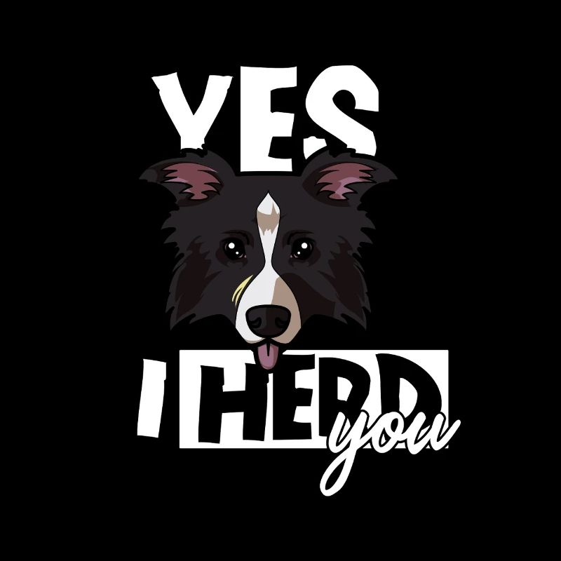Ja, ich hüte dich, lustiger Border Collie Schäferhund