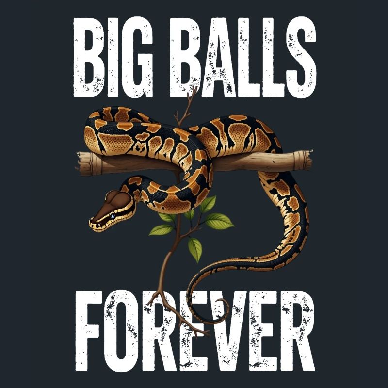 Python roi Serpents Amateurs de terrarium Python