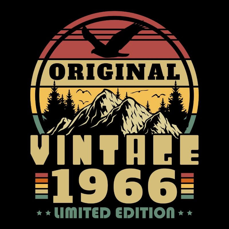 1966 Vintage Retro Geburtstagsgeschenk