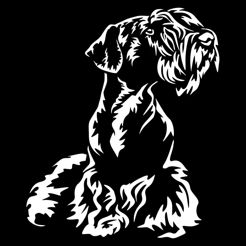 Cesky Terrier "Black Edition"