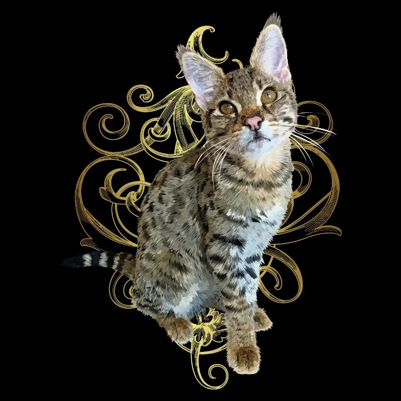 Tabby