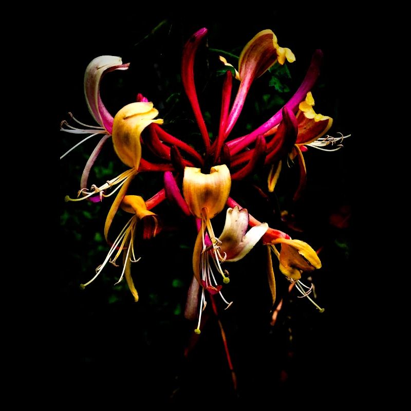 Dale Inutilité de l’existence v5