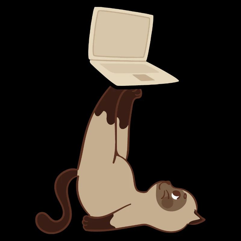 Chat avec ordinateur portable