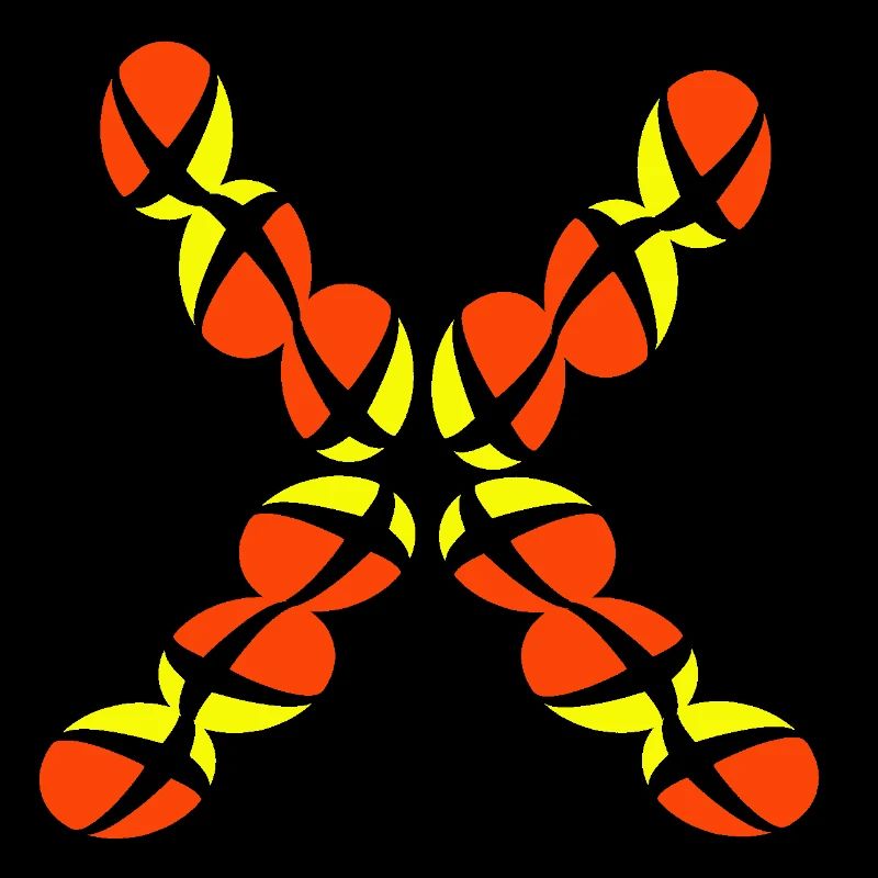 X