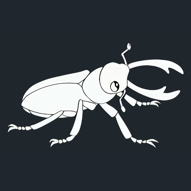 Insecte