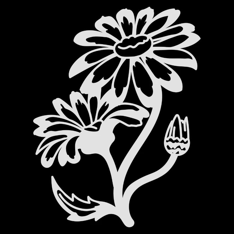 Marguerites simples