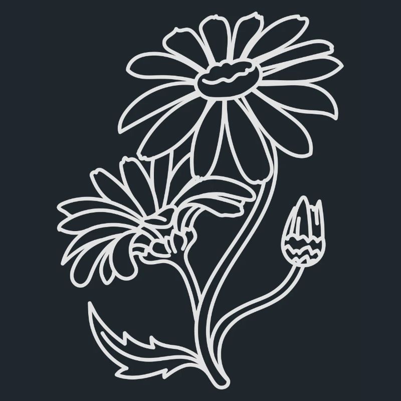 Einfache Gänseblümchen