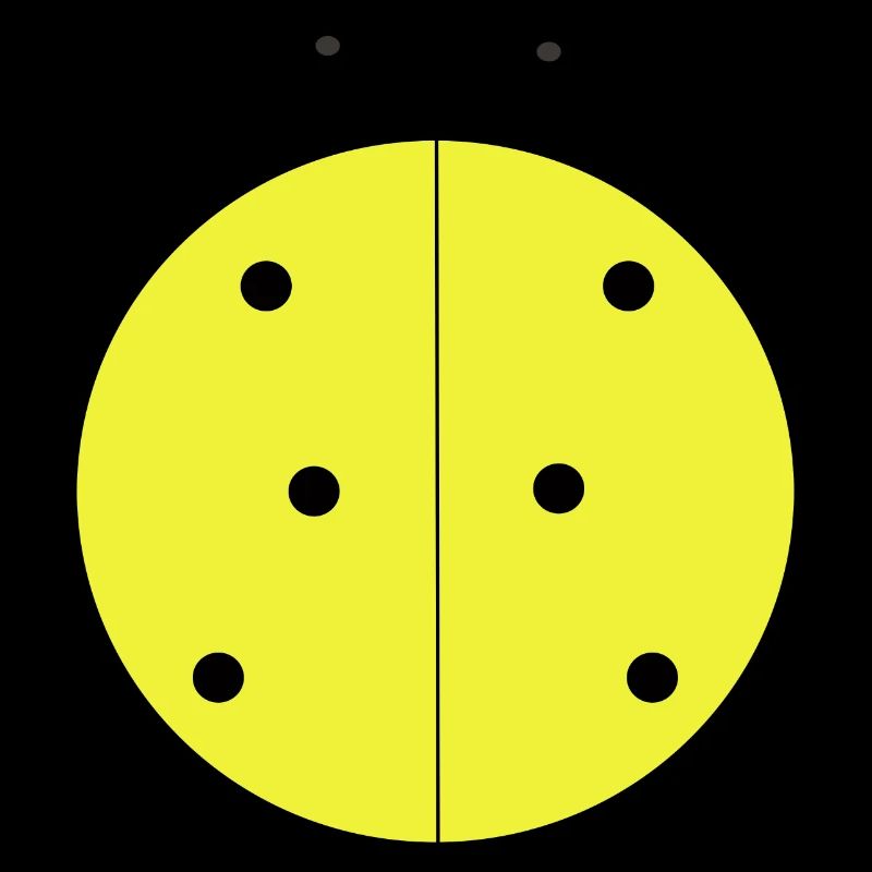 Coccinelle Jaune à Points Noirs