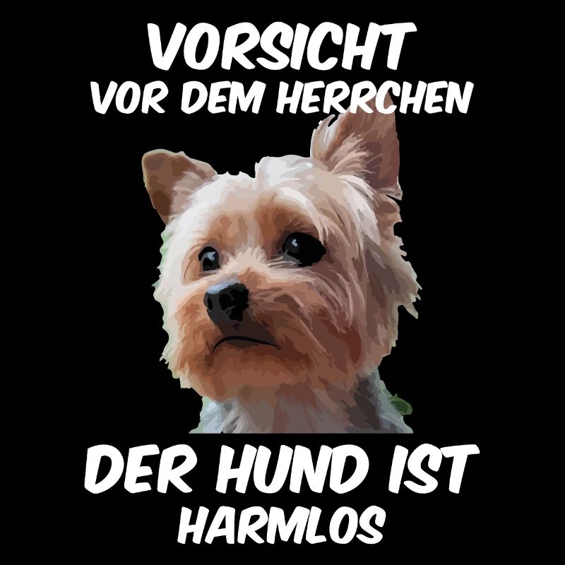 Yorkshire Terrier Vorsicht vor dem Herrchen