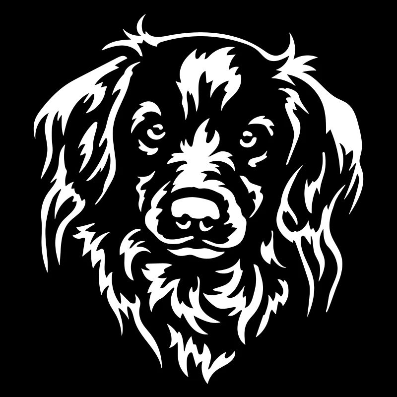 Kooikerhondje Kopf "Black Edition"