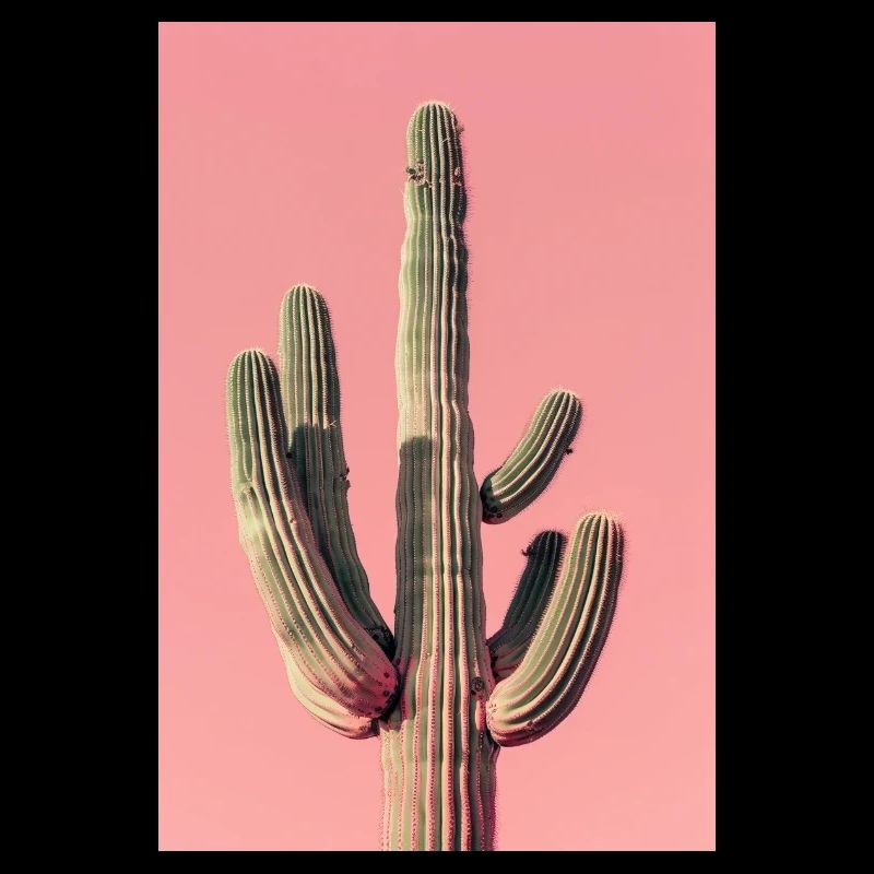 Large Cactus | AI
