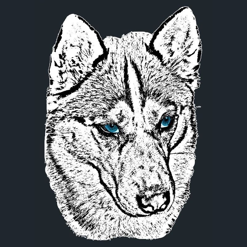Wolf Head Drawing Blue Eyes