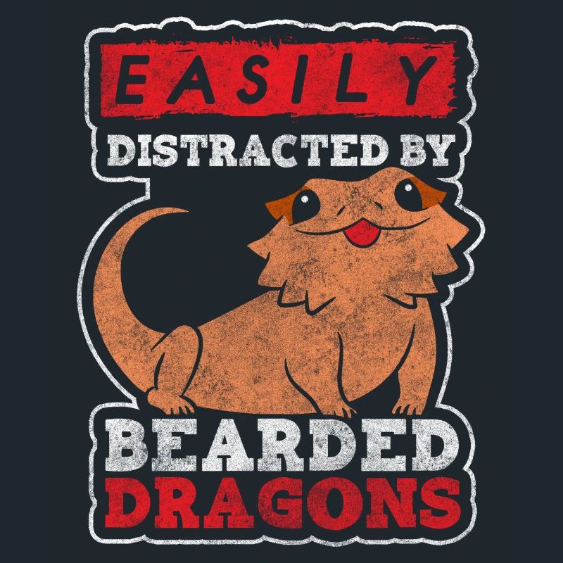 Echse Echsen Eidechse