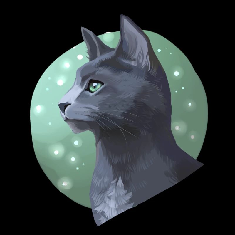 Needletail Needle Tail Warrior Cats Grey Cat