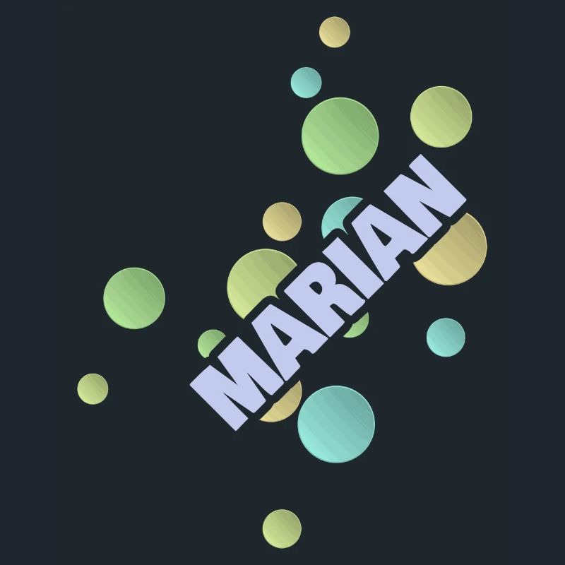 Marian as a University of Applied Sciences