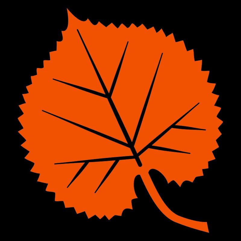 Linden leaf