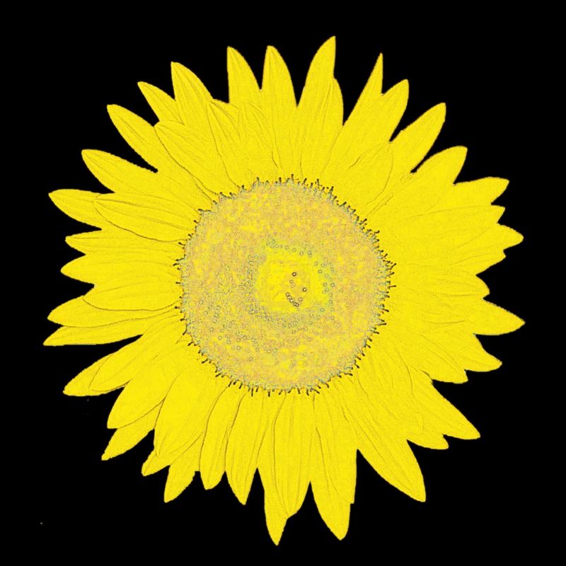 Sunflower in Impressionist Style