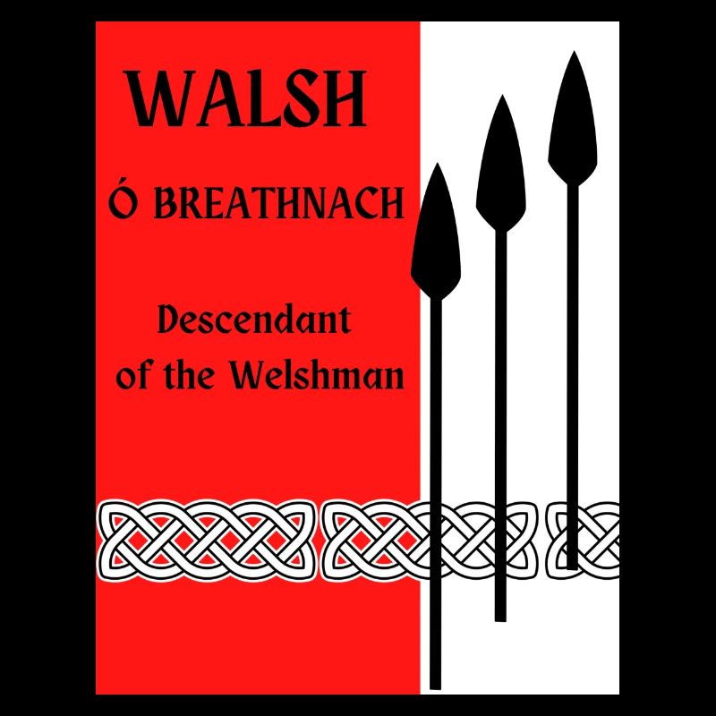 Nom de famille Walsh