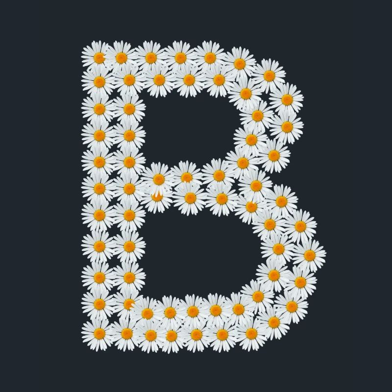 B de Margarites