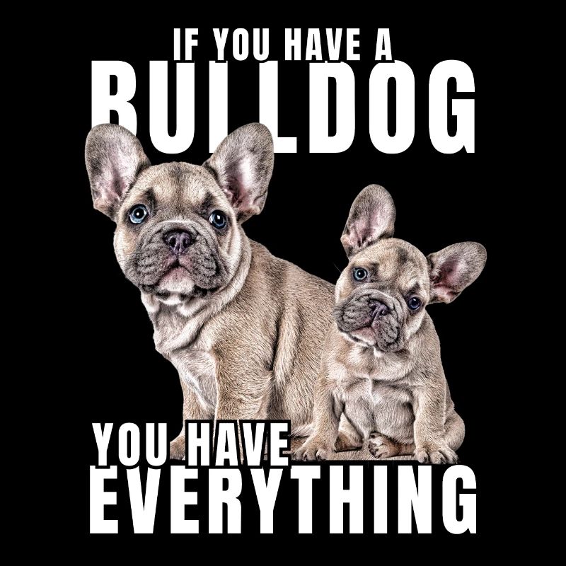 SI VOUS AVEZ UN BOULEDOGUE - bouledogue français