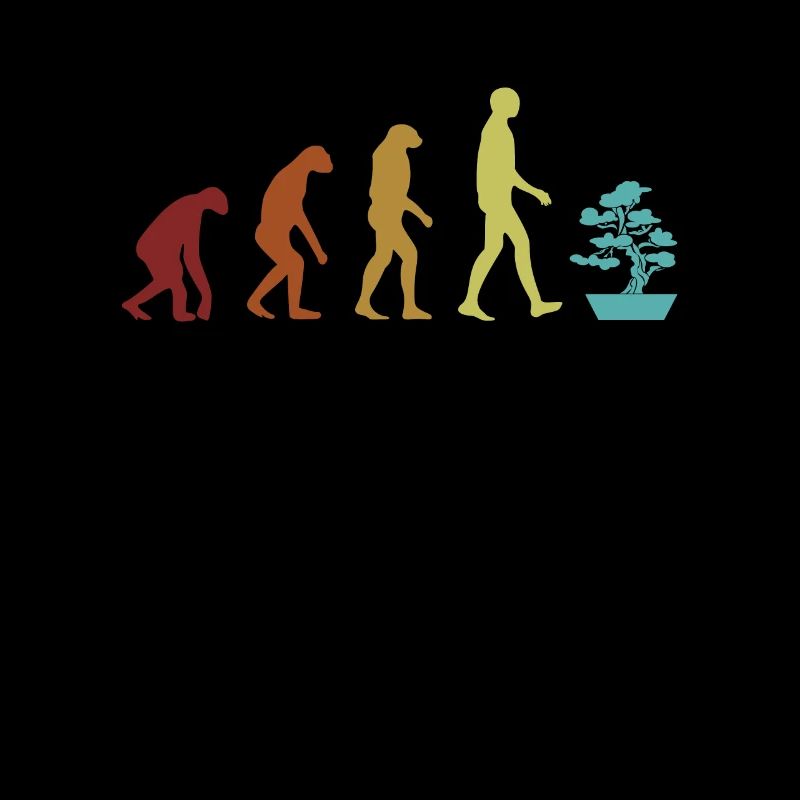 Bonsaï Evolution Penjing Bonsaï d’intérieur Bonsaï