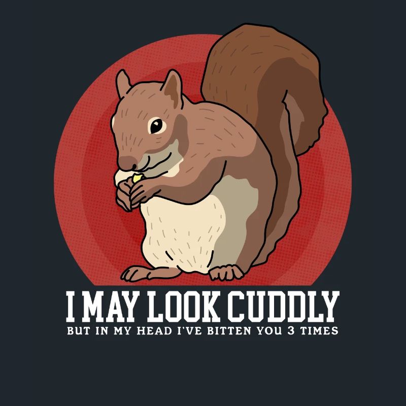 Cute Squirrel Squirrel Gift