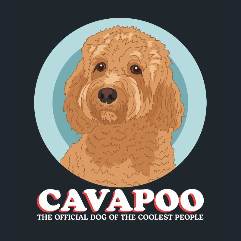 Cavapoo Cavoodle Chien Chien Propriétaire Cadeau