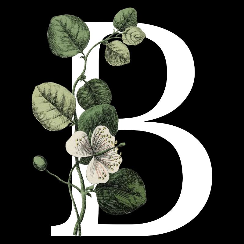 Buchstabe B Grün Botanisch