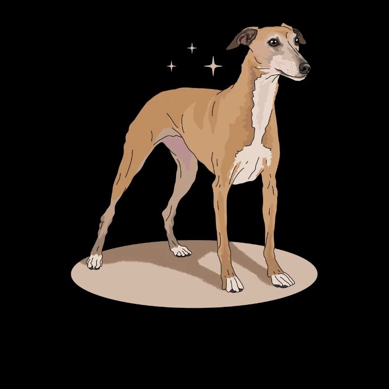 Whippet Cadeaux de lévrier anglais