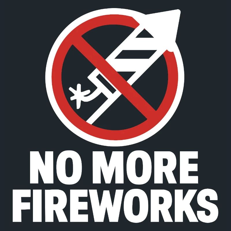 Plus de feux d’artifice – Édition du réveillon du Nouvel An