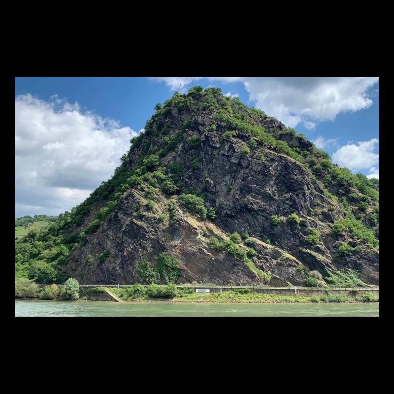 Berg