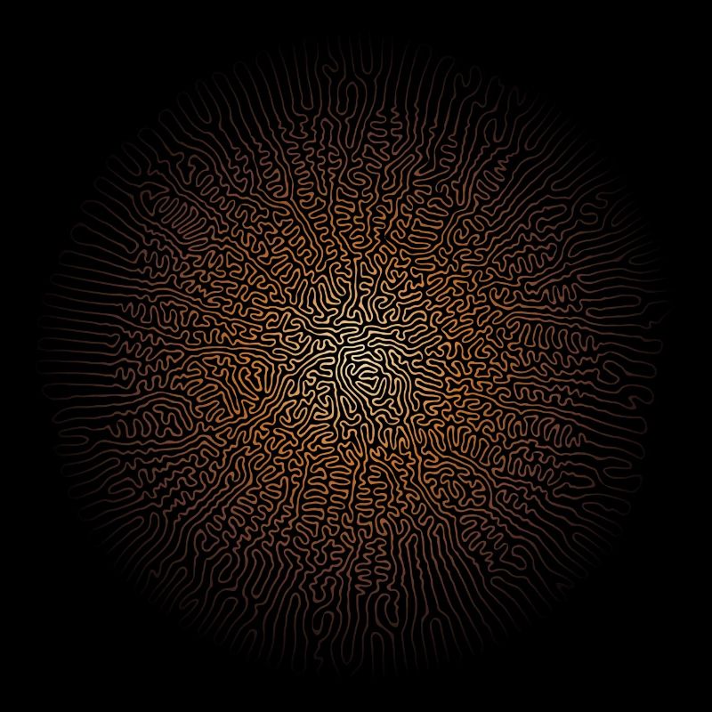 Mushroom Mycelium (Psychedelic Edition)